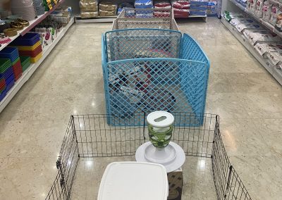 Sofa-Veterinary-Center-Shop-11